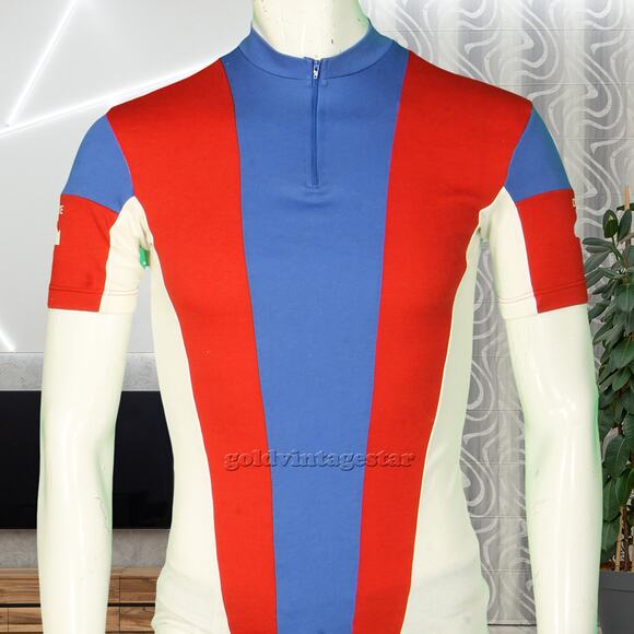 Vintage Descente Japan Stripe Cycling Jersey - Picture 1 of 10